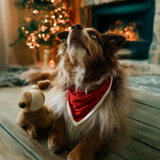 Śliniak dla psa czerwony Heritage Pet Bandana