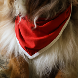 Śliniak dla psa czerwony Heritage Pet Bandana