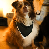Śliniak dla psa Green Heritage Pet Bandana