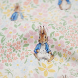 ZIPSTER™ Peter Rabbit Meadow Hopper